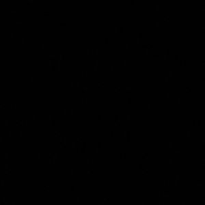 Meet your Posher, Eden